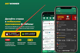 The Ultimate Guide to Betwinner Your Go-To Betting Platform