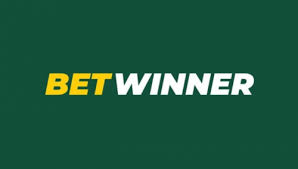 The Ultimate Guide to Online Betting with Baji 365 The Ultimate Guide to Online Betting with Baji 365
